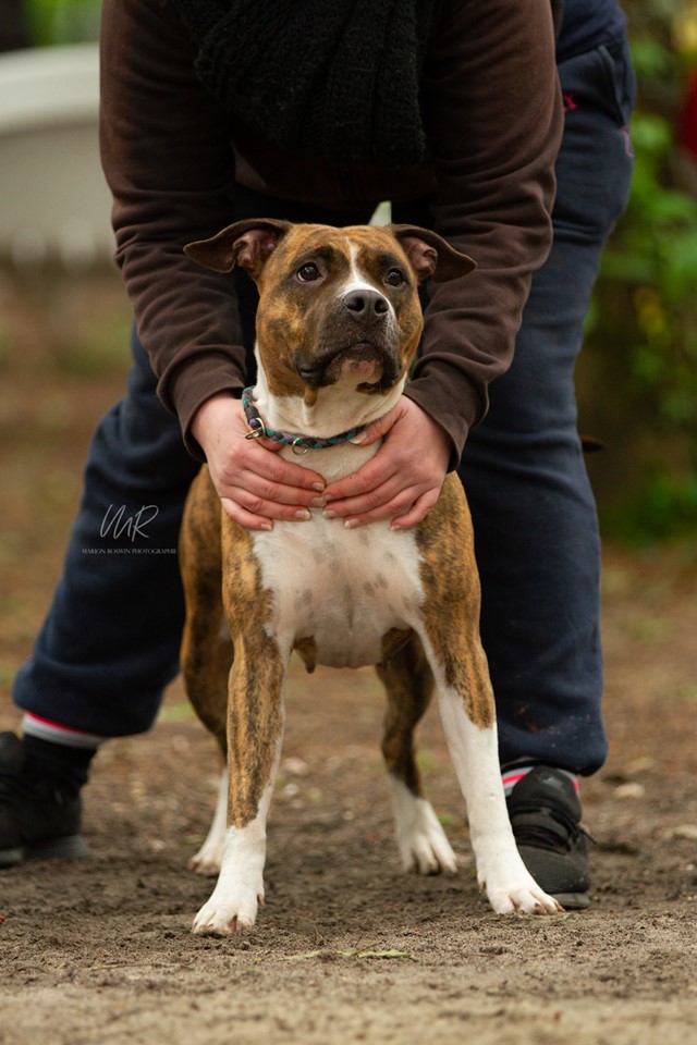 Photo de Milé