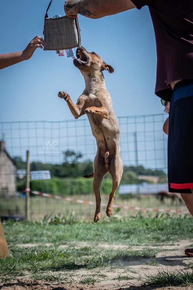 Photo de Eko
