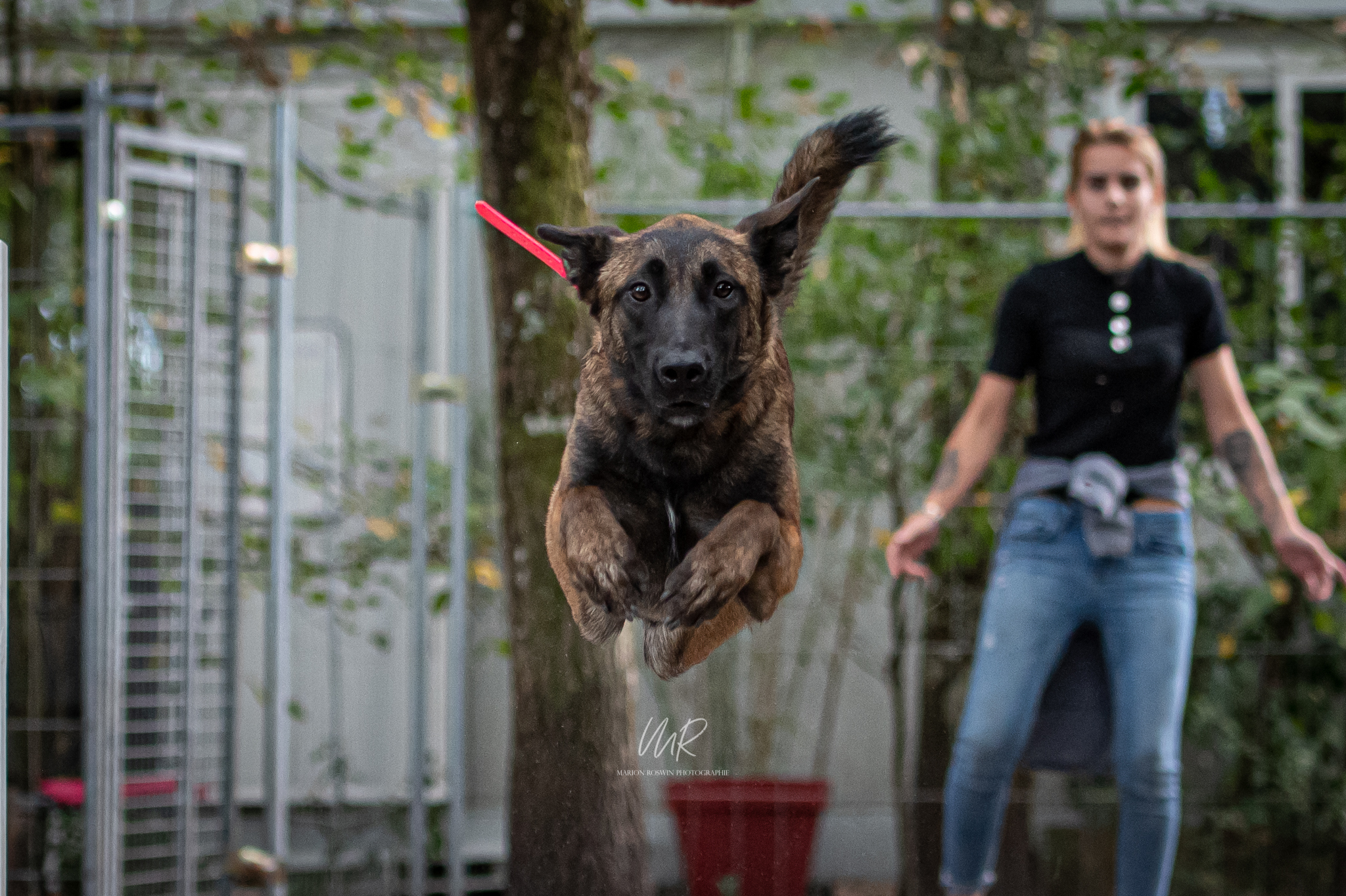 Photo de Athena