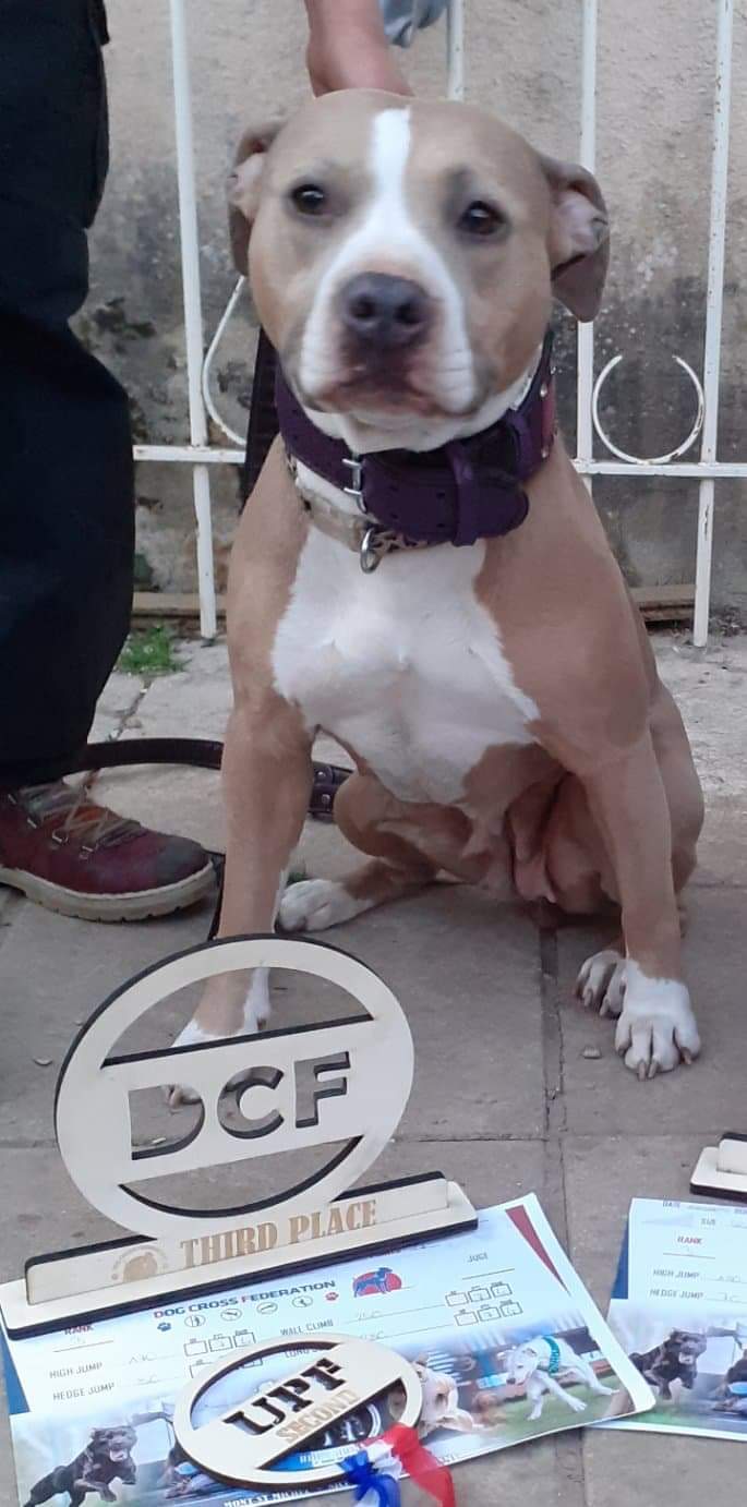 Photo de Zya