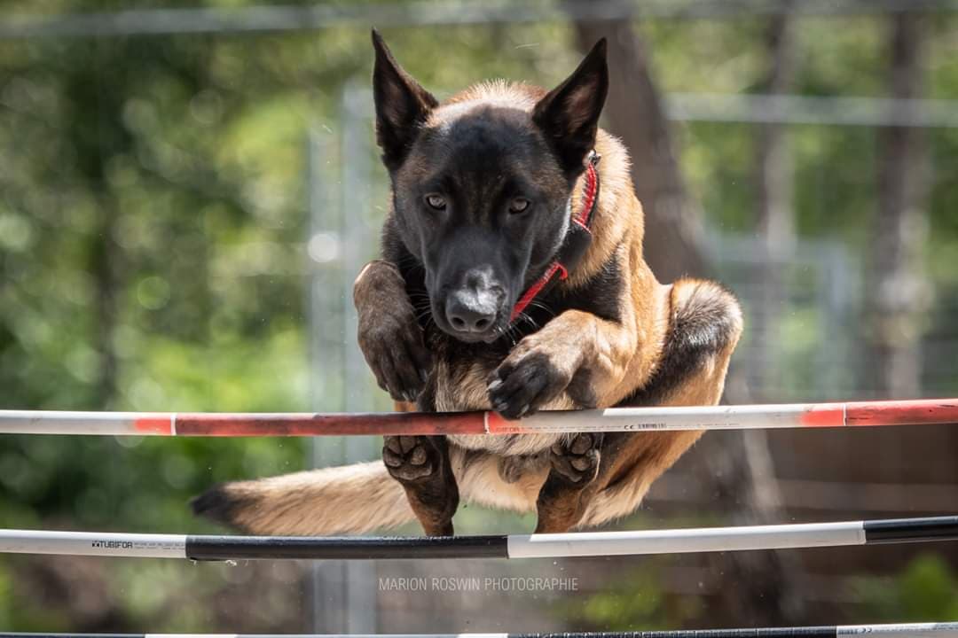 Photo de Phantom