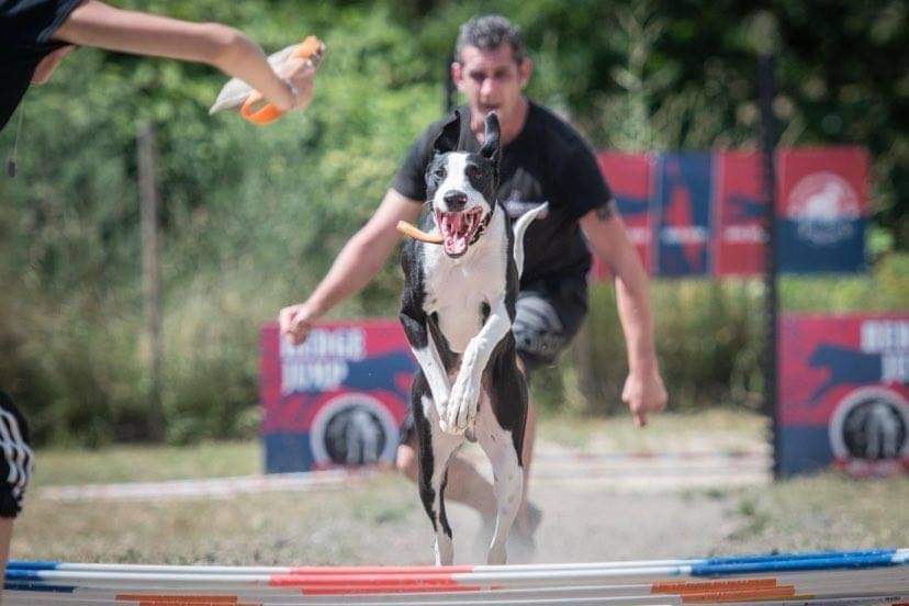 Photo de Pako