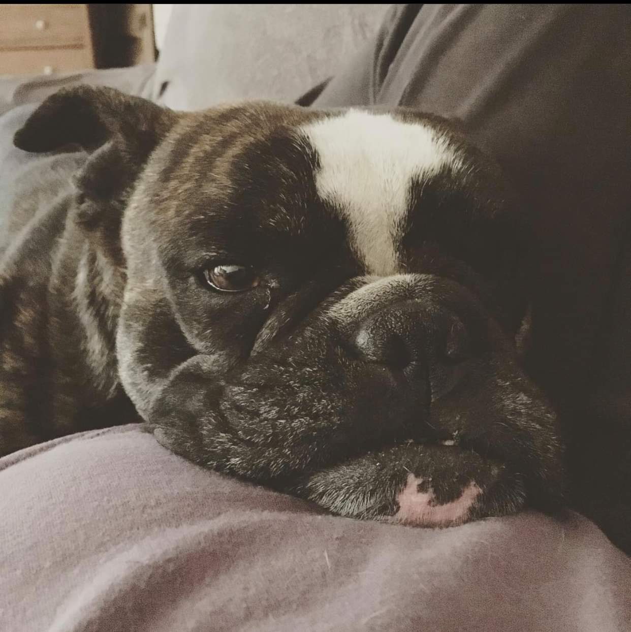 Photo de Turbo