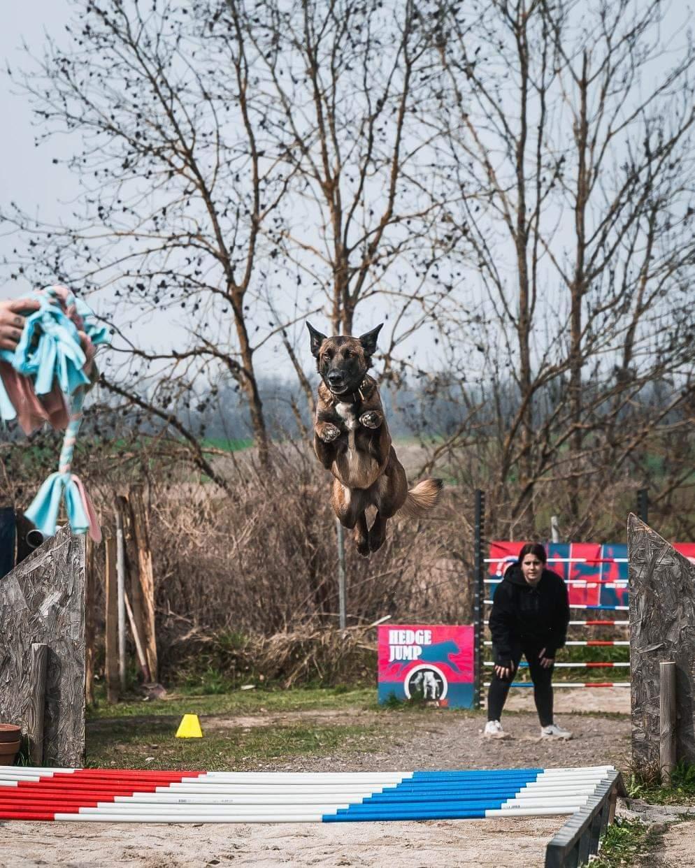 Photo de Athena