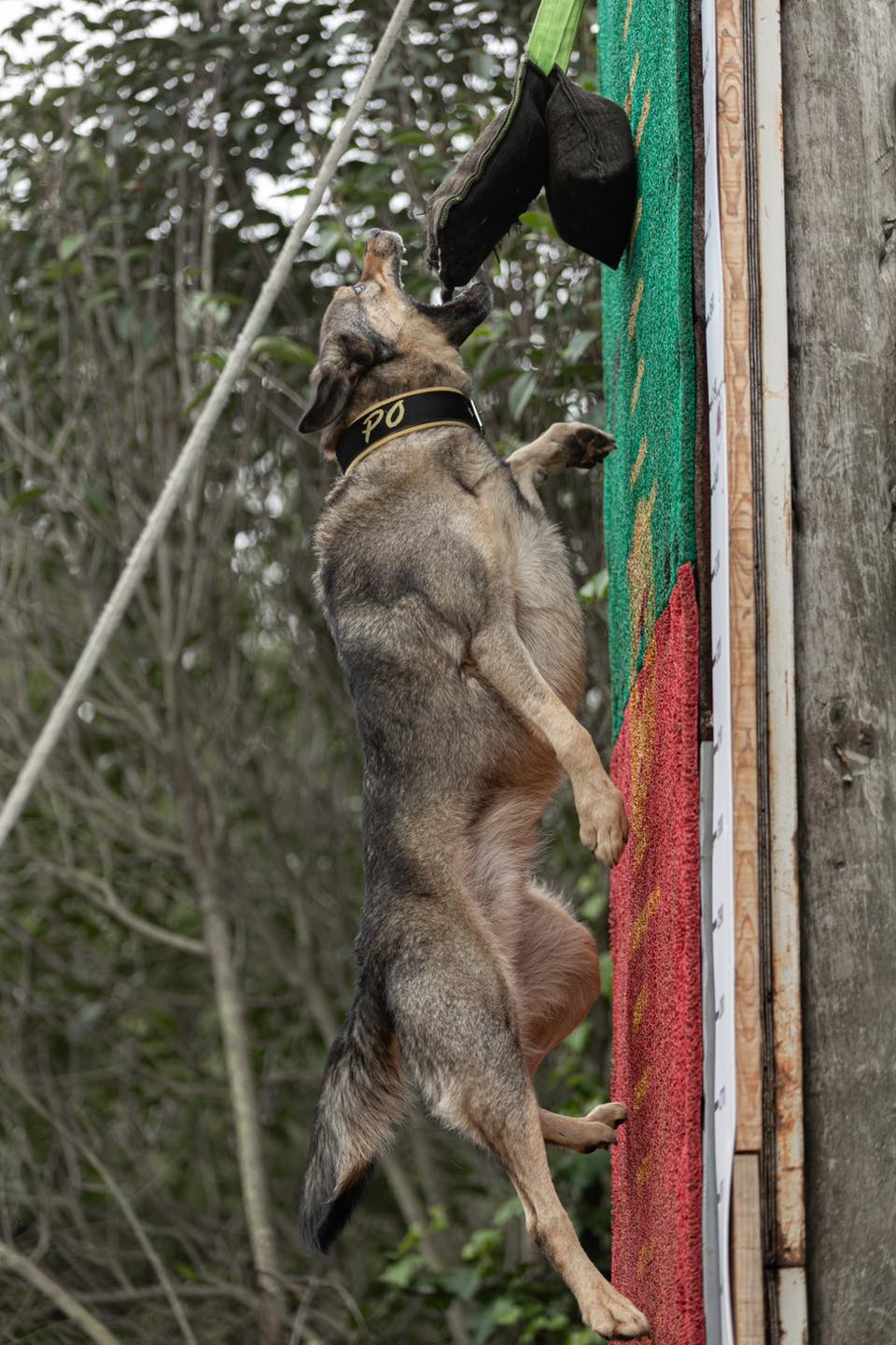 Photo de Napo