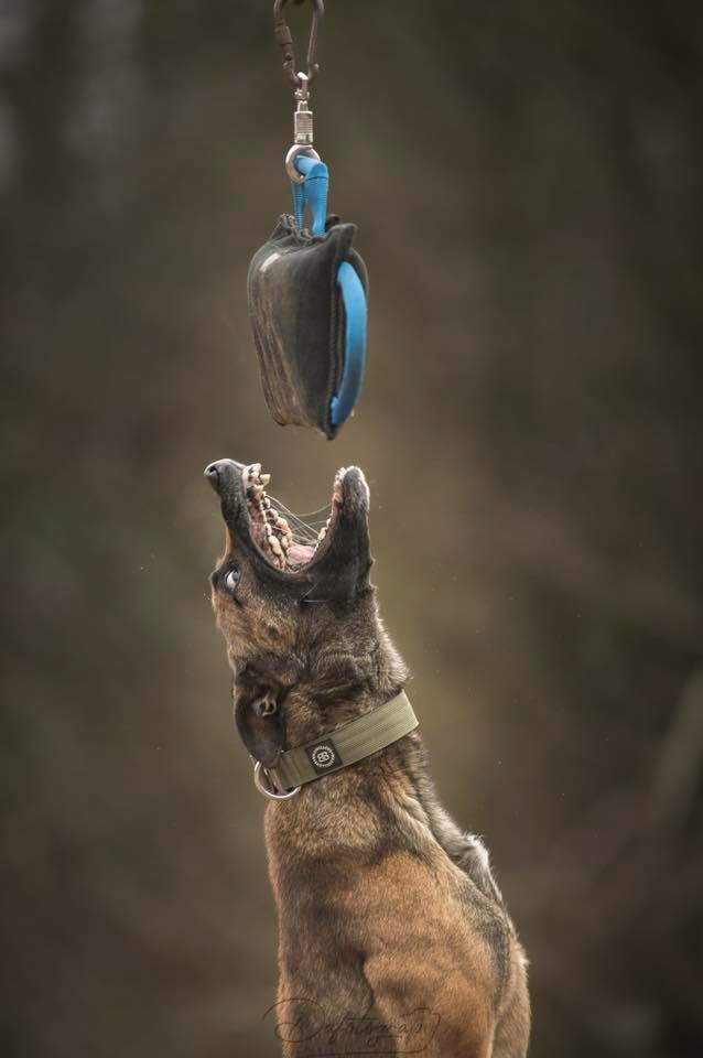 Photo de Abu