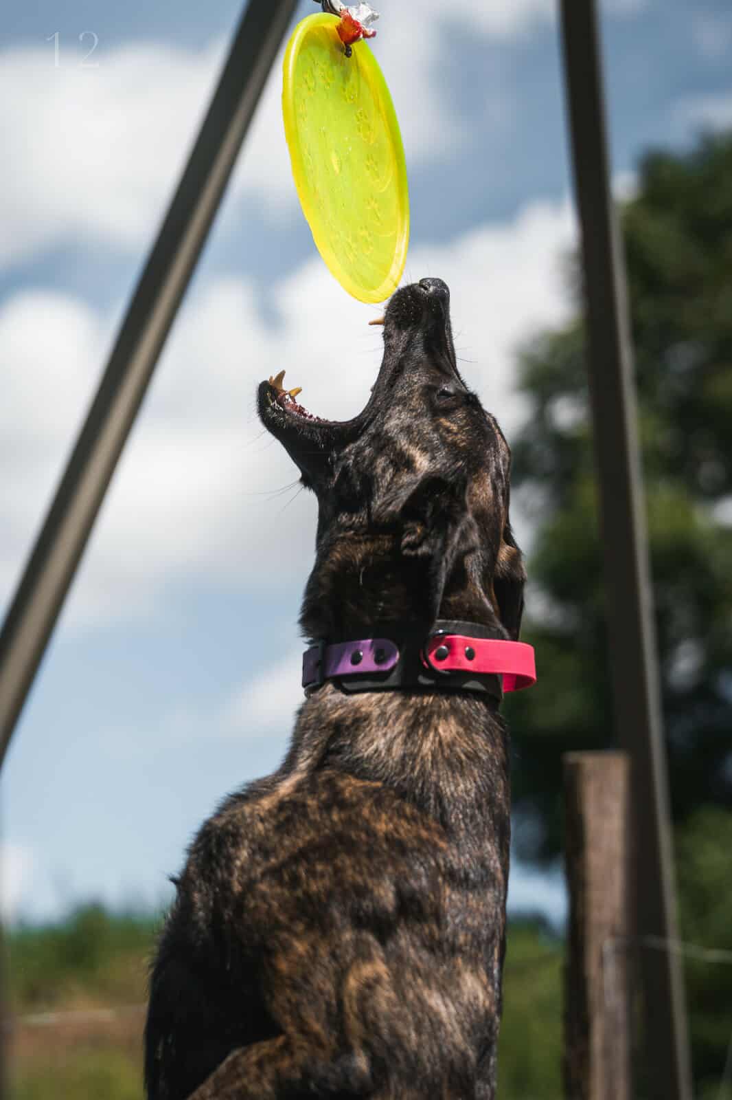 Photo de Freyja SWEET