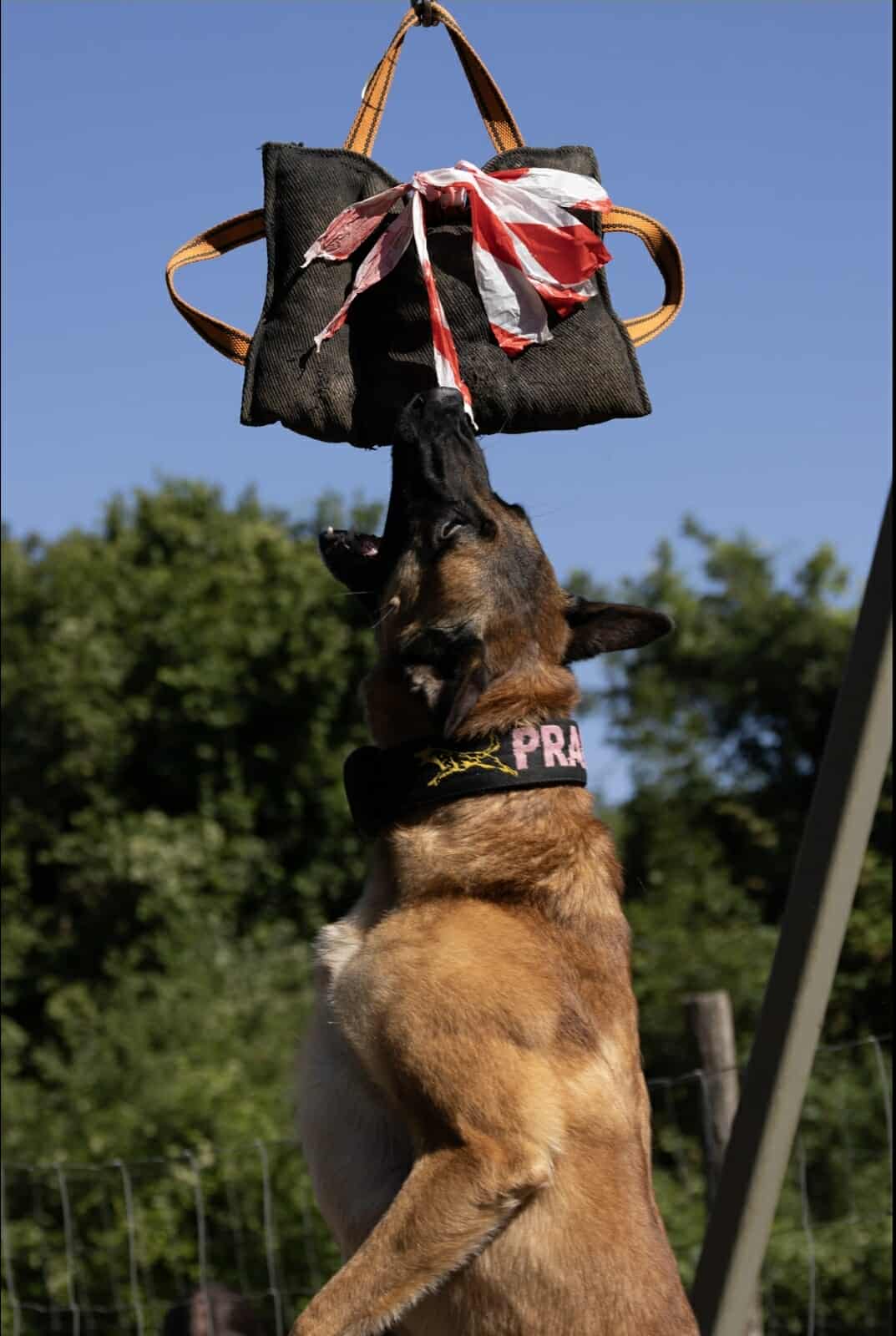 Photo de Prada